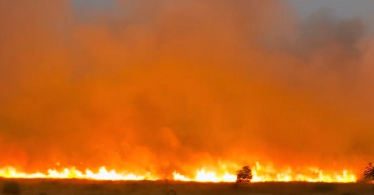 El fuego que se ha originado en Dos Hermanas. El fuego que se ha originado en Dos Hermanas.