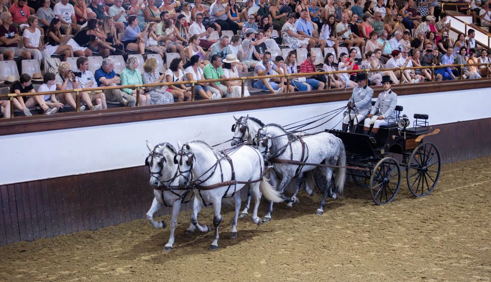 Así celebra la Policía Nacional sus 200 años en la Real Escuela Andaluza del Arte Ecuestre de Jerez