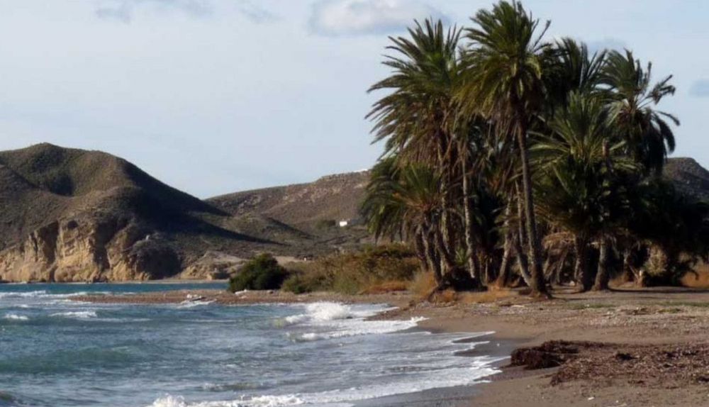 Playa de Las Palmeras.