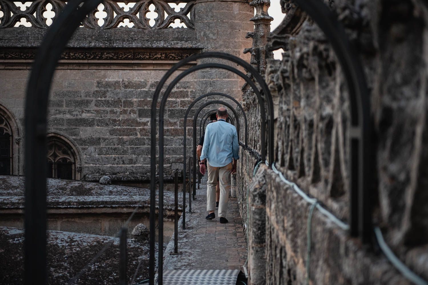 Las cubiertas de la Catedral de Sevilla y las vistas de la ciudad, en imágenes.