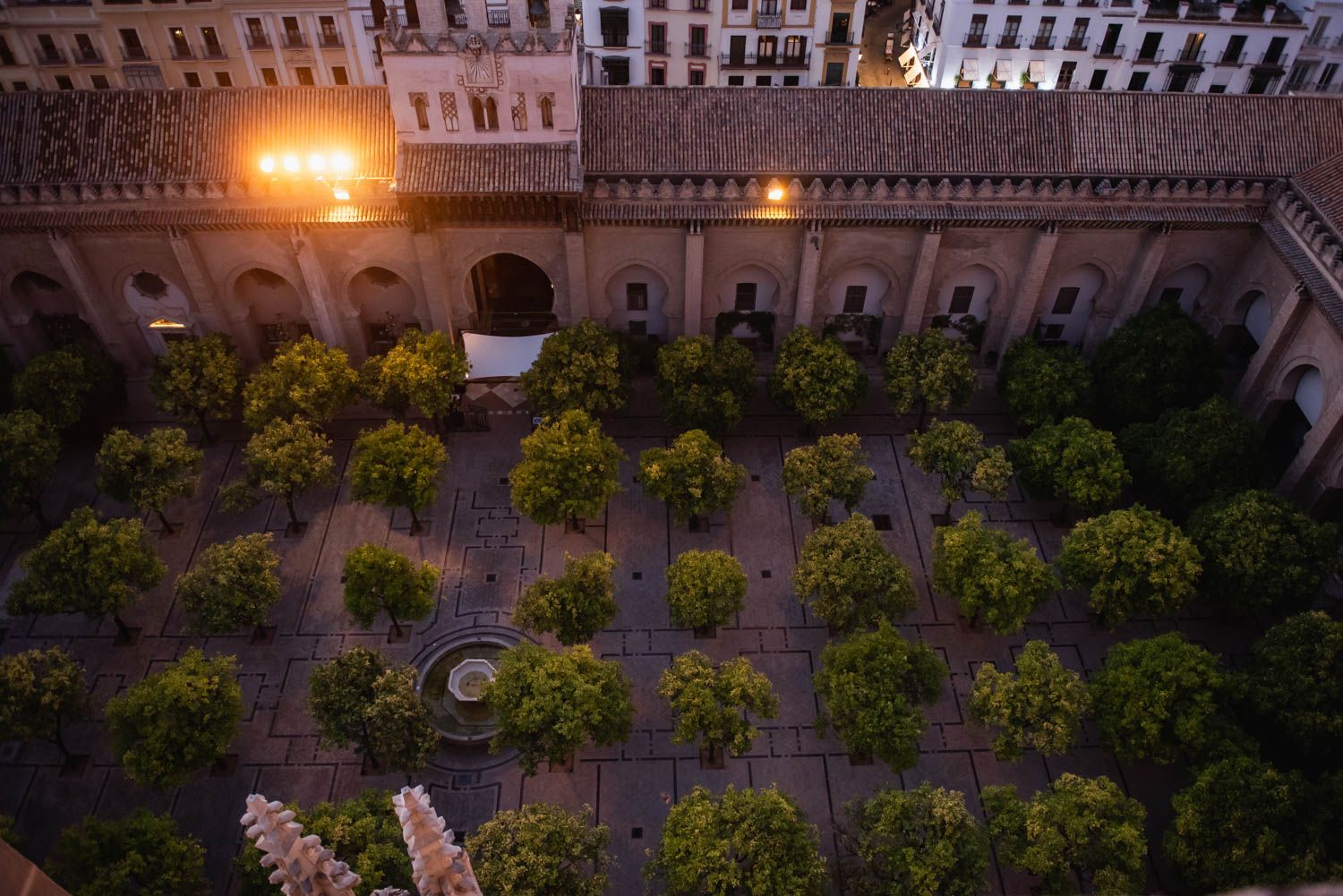 Las cubiertas de la Catedral de Sevilla y las vistas de la ciudad, en imágenes.