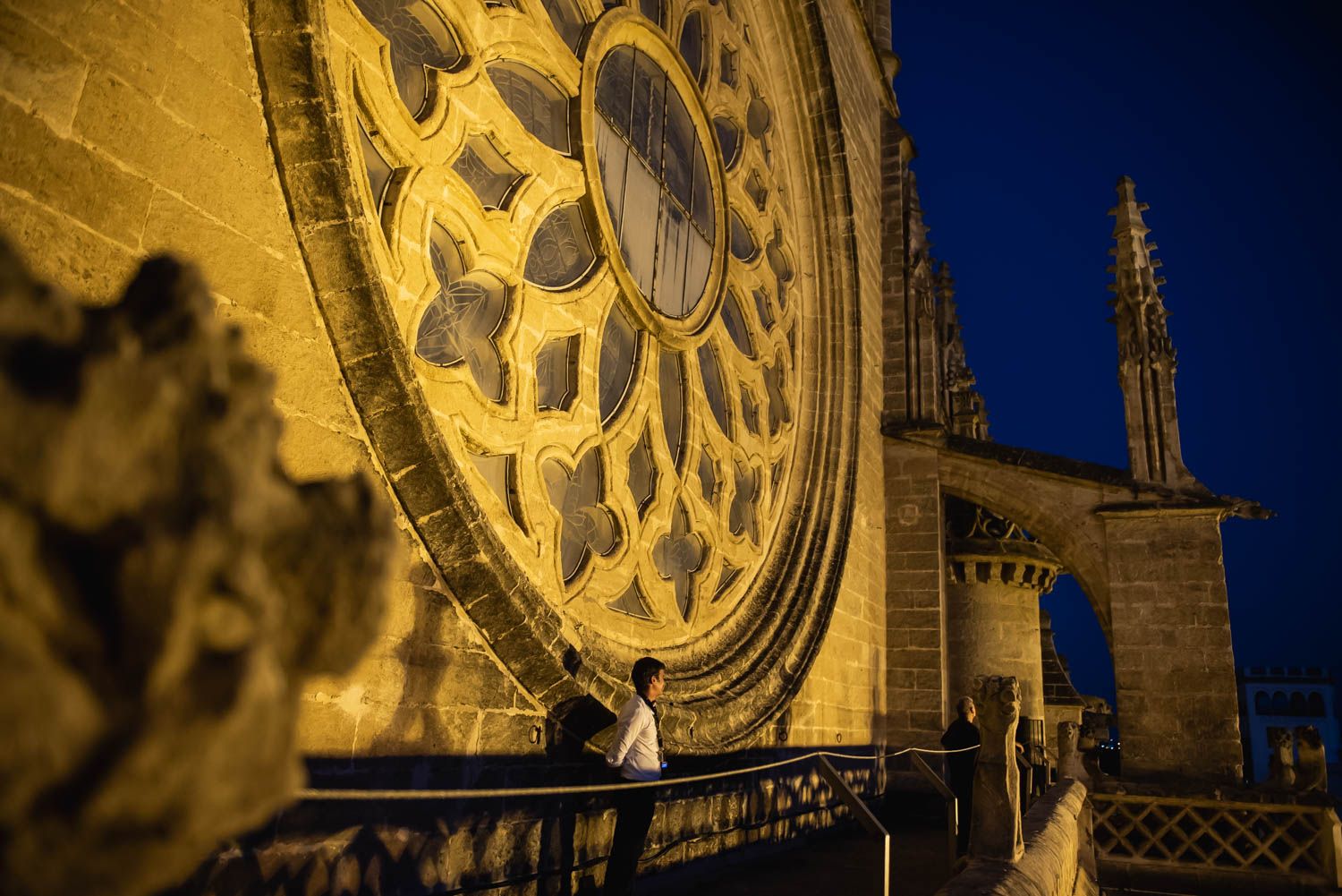 Las cubiertas de la Catedral de Sevilla y las vistas de la ciudad, en imágenes.
