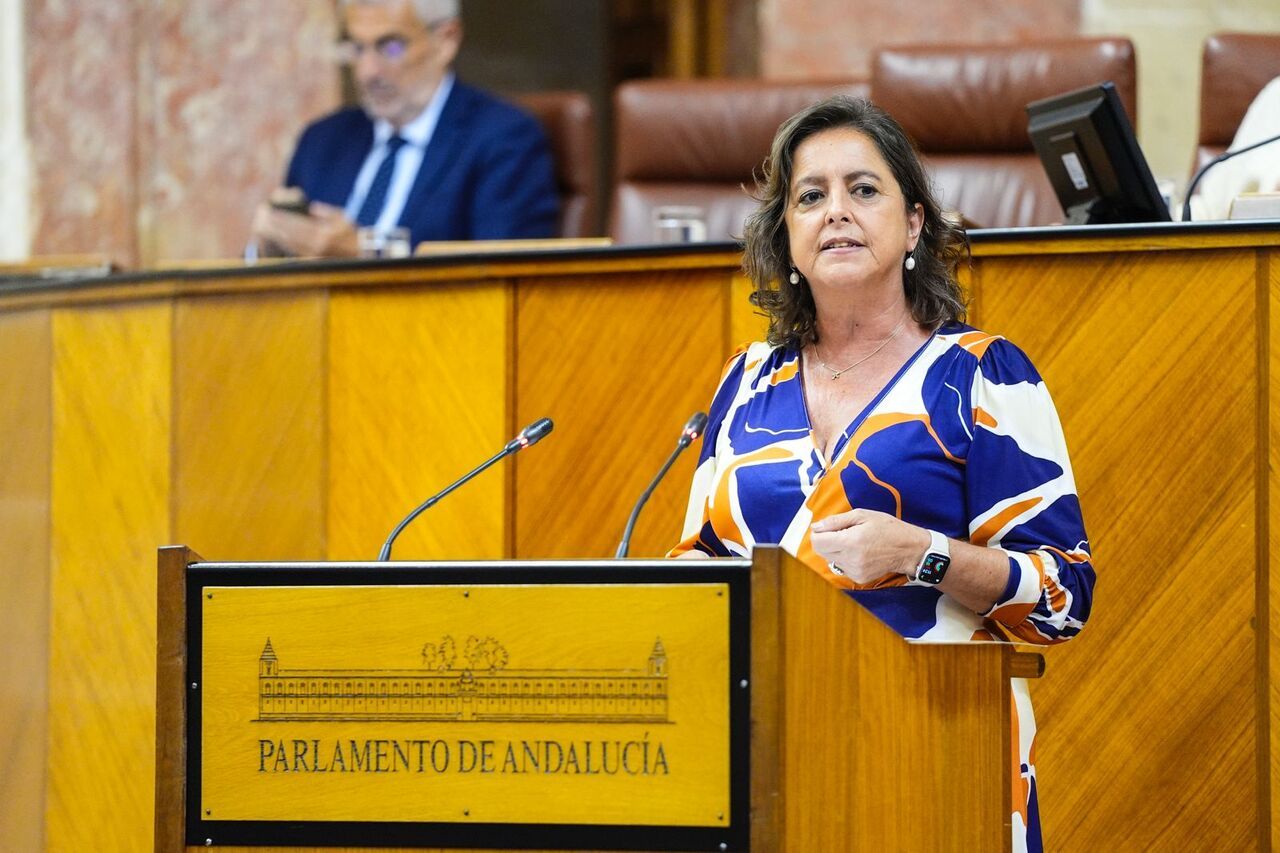 Catalina García, consejera de Salud y responsable del SAS. Catalina García, consejera de Salud y responsable del SAS.
