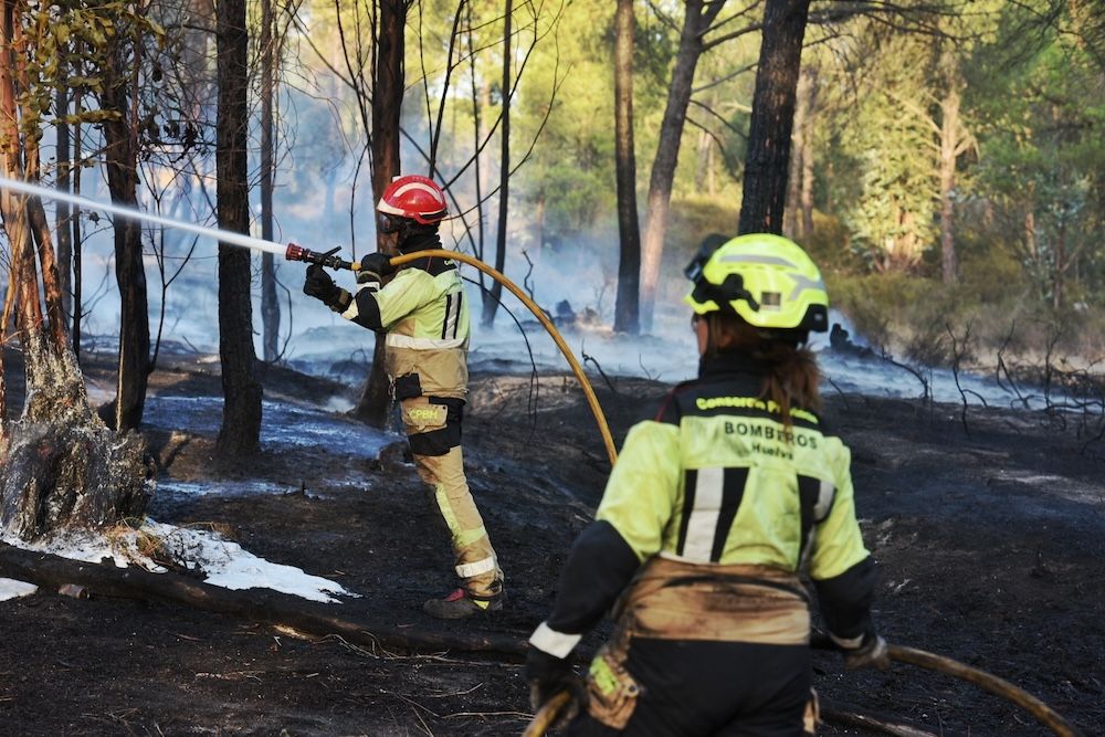 Un incendio forestal en Andalucía el pasado año. Un incendio forestal en Andalucía el pasado año.