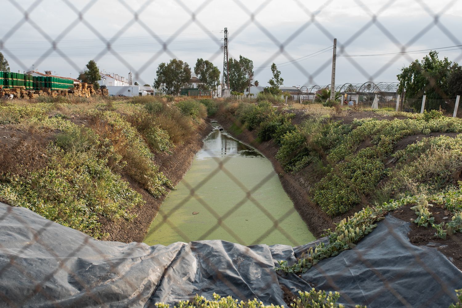 Los vecinos se quejan de que la naturaleza no es lo que era; El estado de las aceras y otras infraestructuras públicas dejan mucho que desear