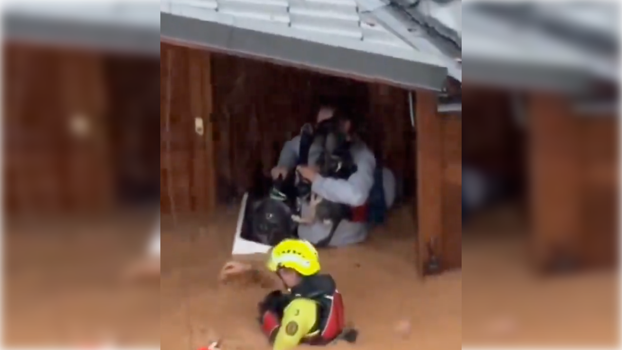 Imagen de un rescate que han realizado en la jornada de hoy los equipos de emergencias. Imagen de un rescate que han realizado en la jornada de hoy los equipos de emergencias.
