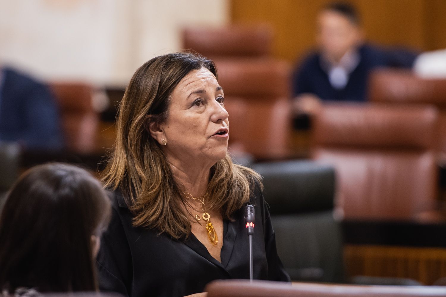 Carmen Castillo, consejera de Desarrollo Educativo.