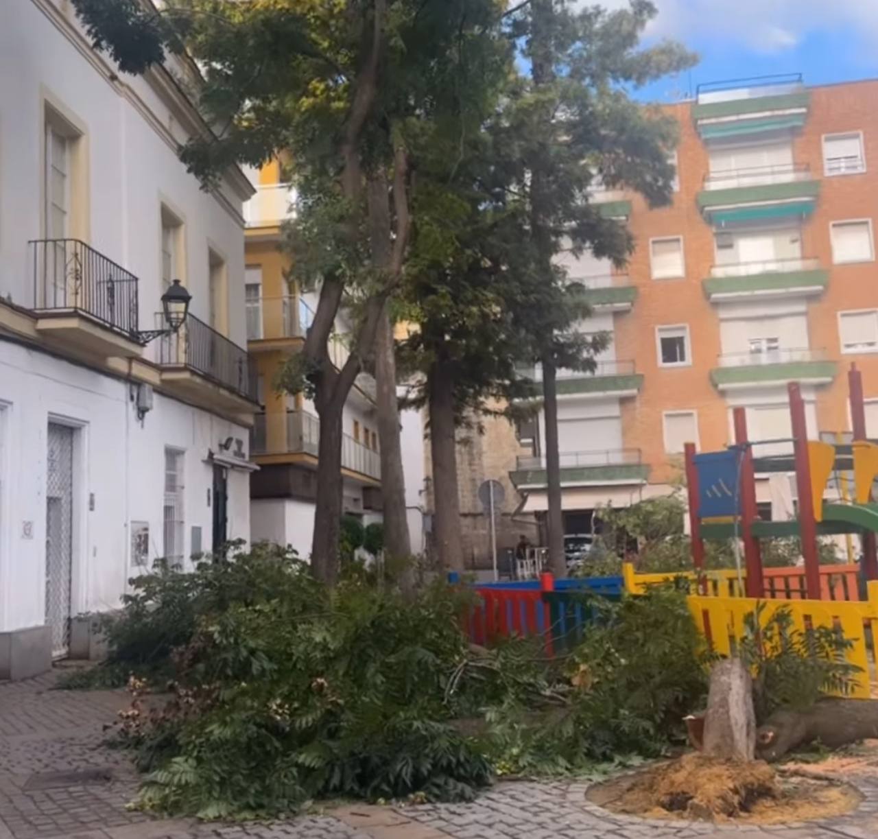 Caída de un árbol en la Plaza del Progreso. Caída de un árbol en la Plaza del Progreso.