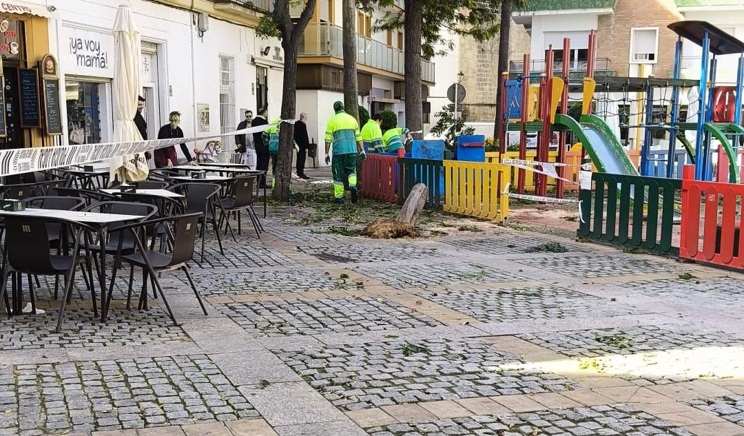 La Plaza del Progreso tras los trabajos municipales. La Plaza del Progreso tras los trabajos municipales.