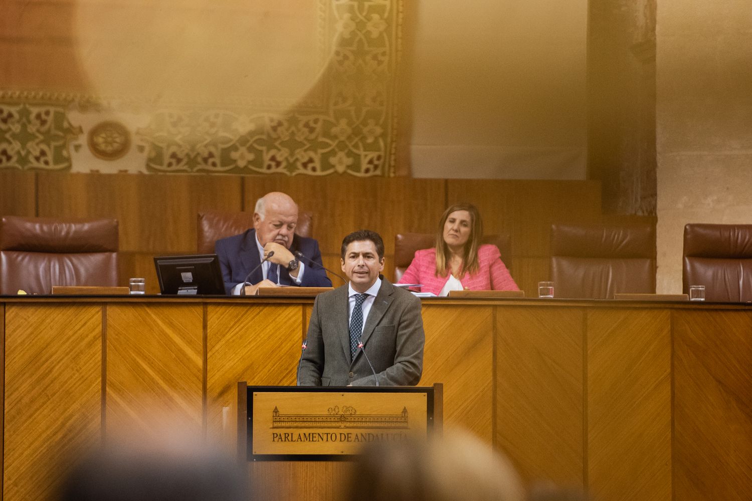 PLENO PARLAMENTO ANDALUCIA 27 NOVIEMBRE 2024 29