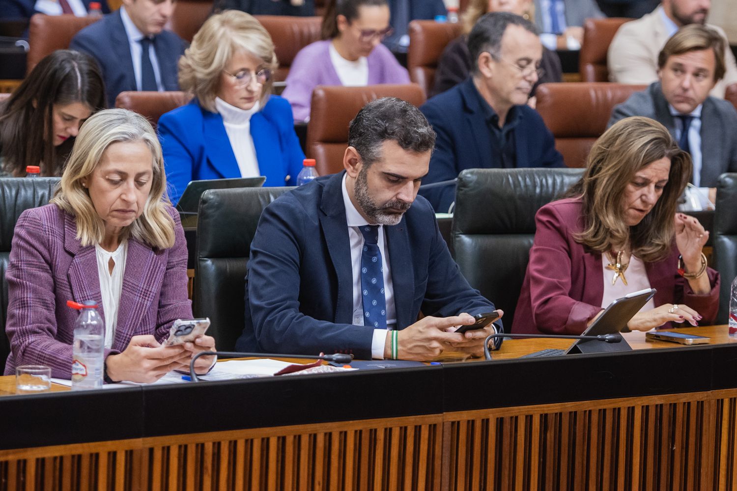PLENO PARLAMENTO ANDALUCIA 28 NOVIEMBRE 2024 17