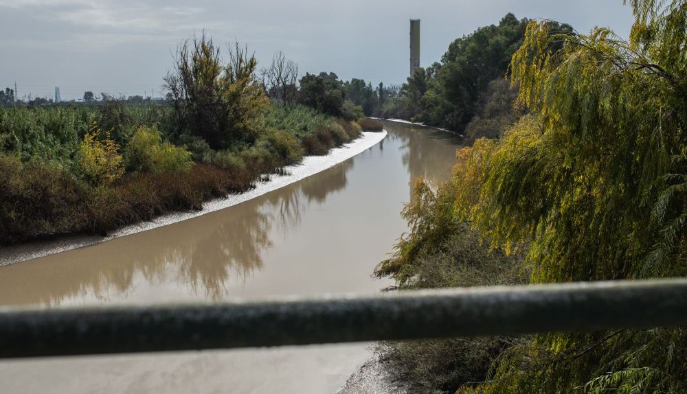COBRE LAS CRUCES 38
