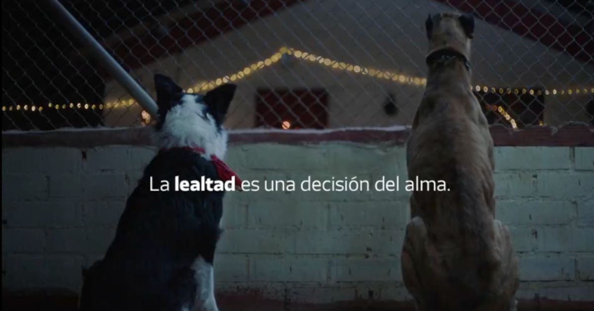 Comandante y Cartón, los protagonistas de la campaña navideña del Atlético de Madrid. Comandante y Cartón, los protagonistas de la campaña navideña del Atlético de Madrid.