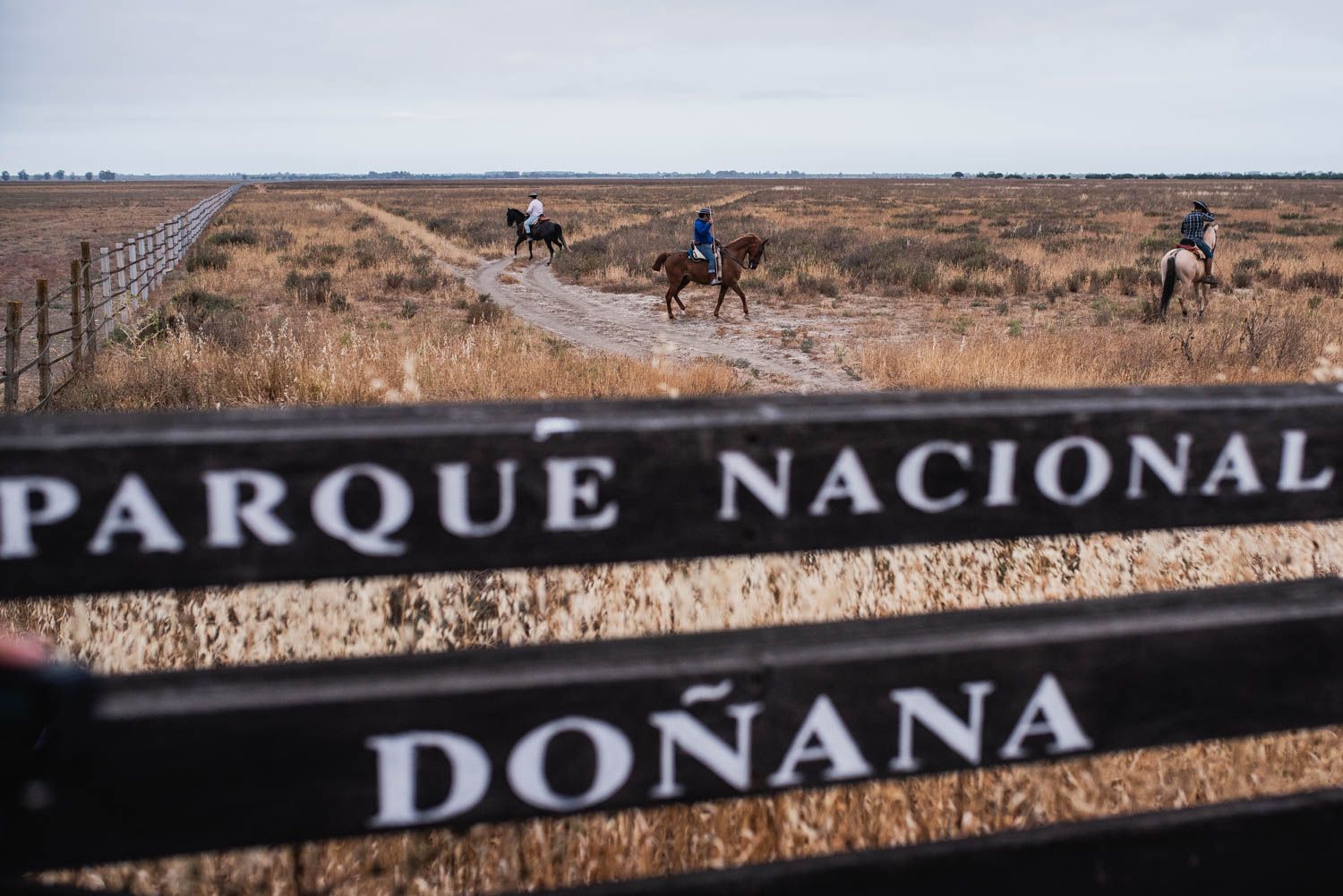 Tres yegüerizos durante de la Saca de las Yeguas, en el Parque Nacional de Doñana, Huelva.