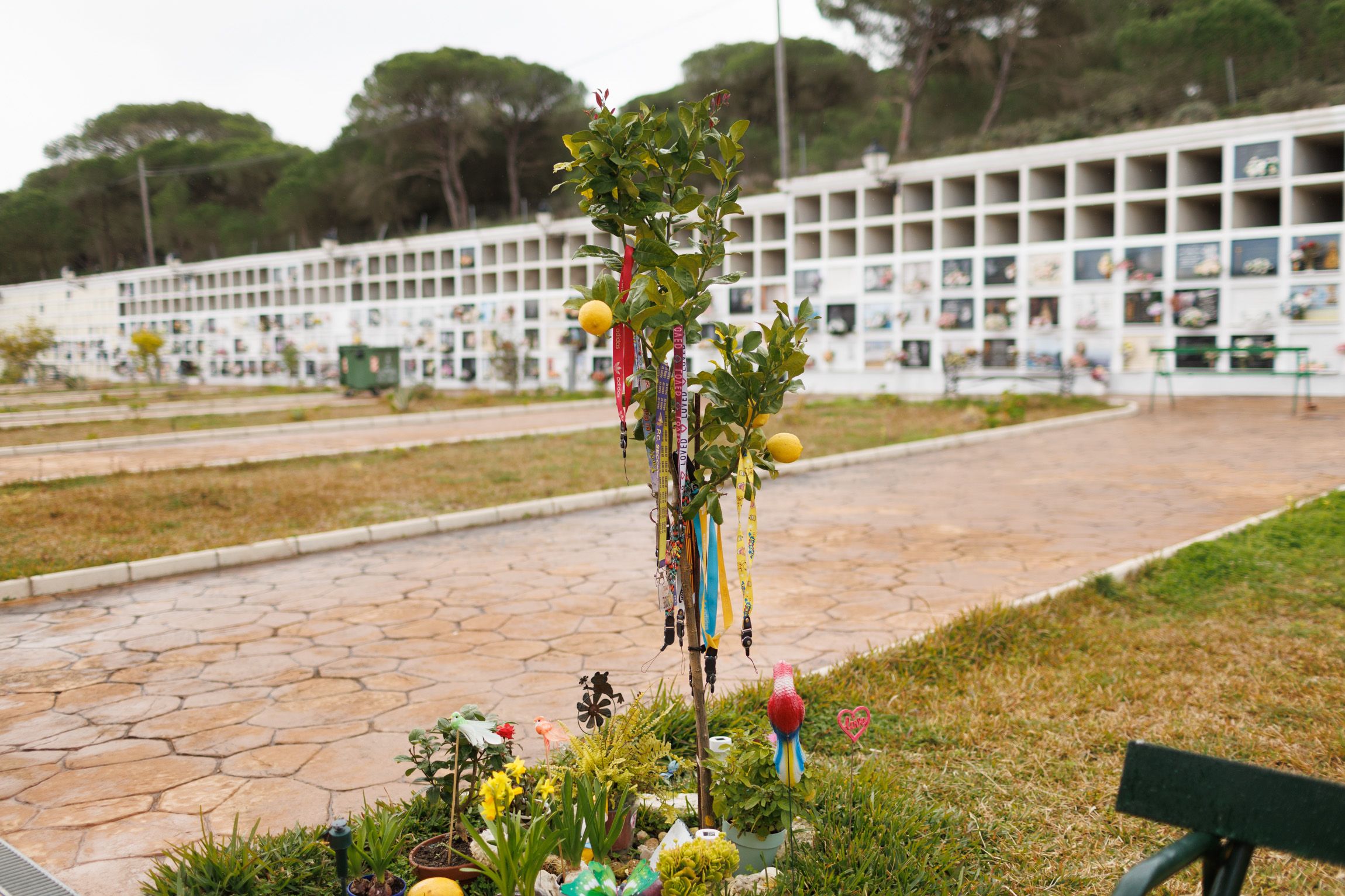 Cementerio Barbate 01