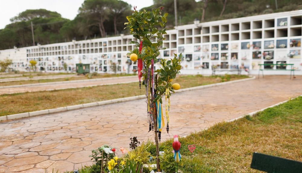 Cementerio Barbate 01