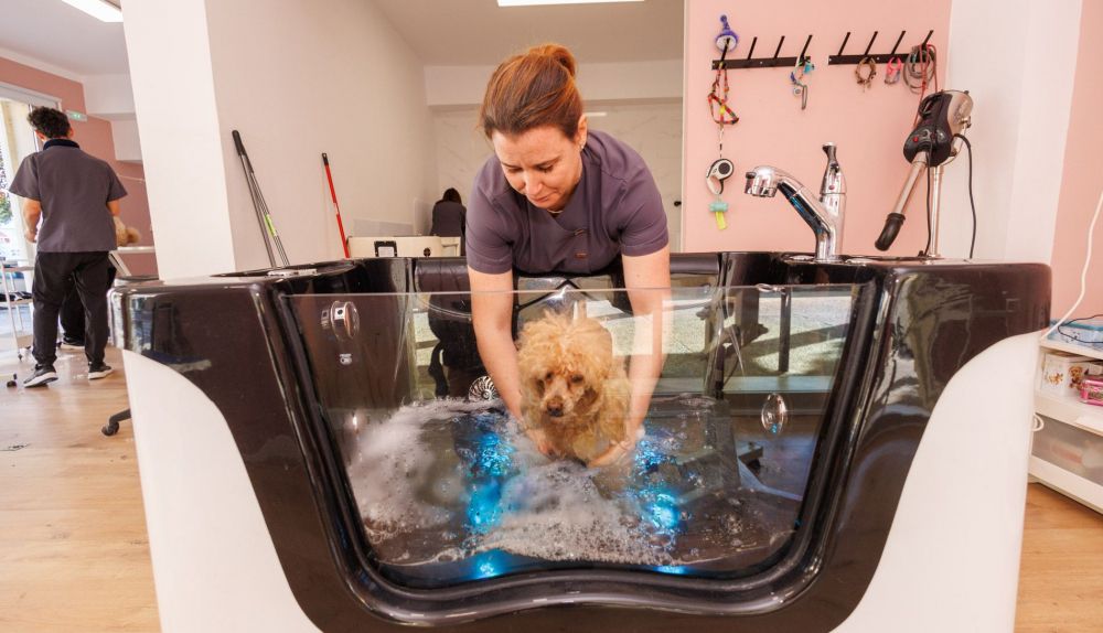 Spa Canino Jerez  13