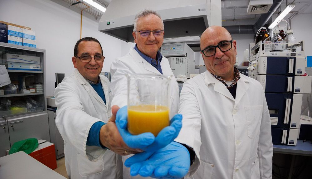 PATENTE ALIMENTACION 10