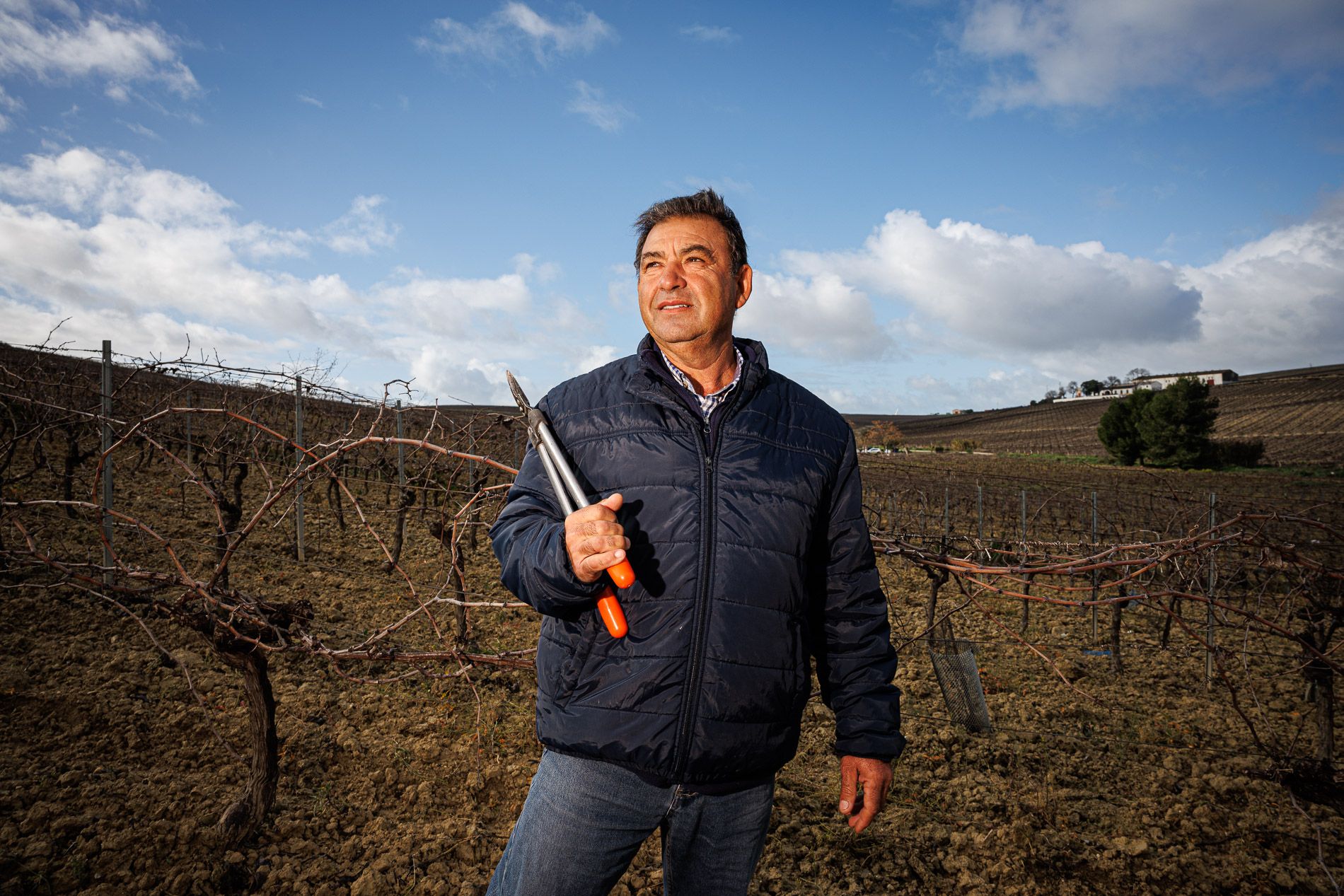 El podador Juan Sánchez, empleado de la empresa 'Vara y Pulgar', en la finca La Solana, con sus tijeras de última generación.