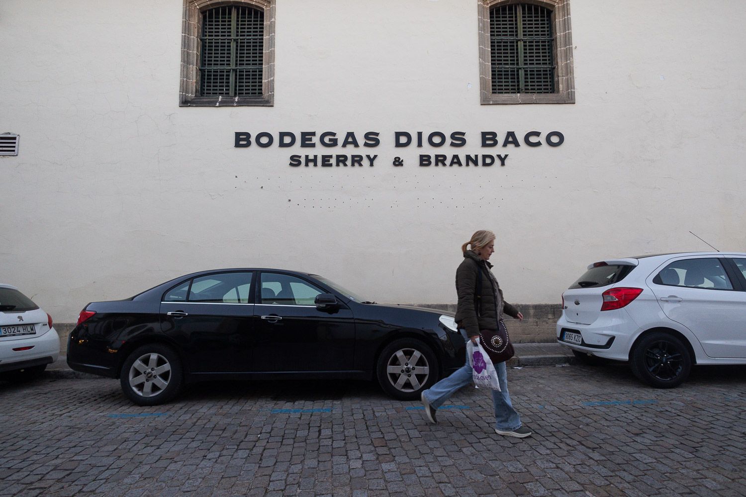 Imagen de la fachada de las Bodegas Dios Baco.
