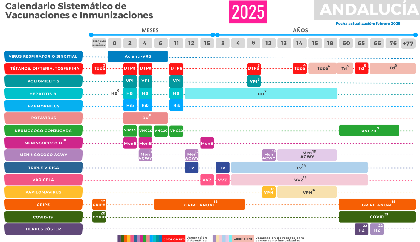 El nuevo calendario de vacunación de 2025 en Andalucía. El nuevo calendario de vacunación de 2025 en Andalucía.