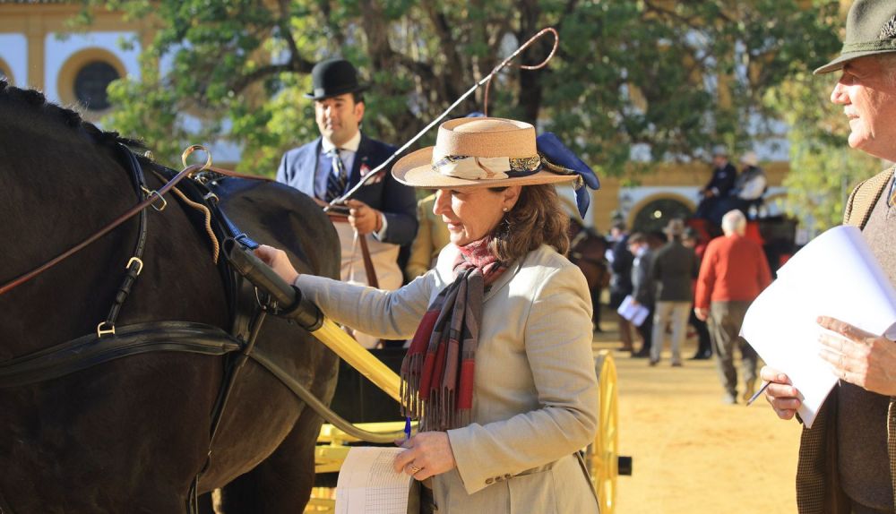 VII Concurso Internacional de Atalaje de Tradición 'Ciudad de Jerez' 27