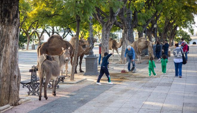 Último día de 'Young Sherlock' en Jerez.