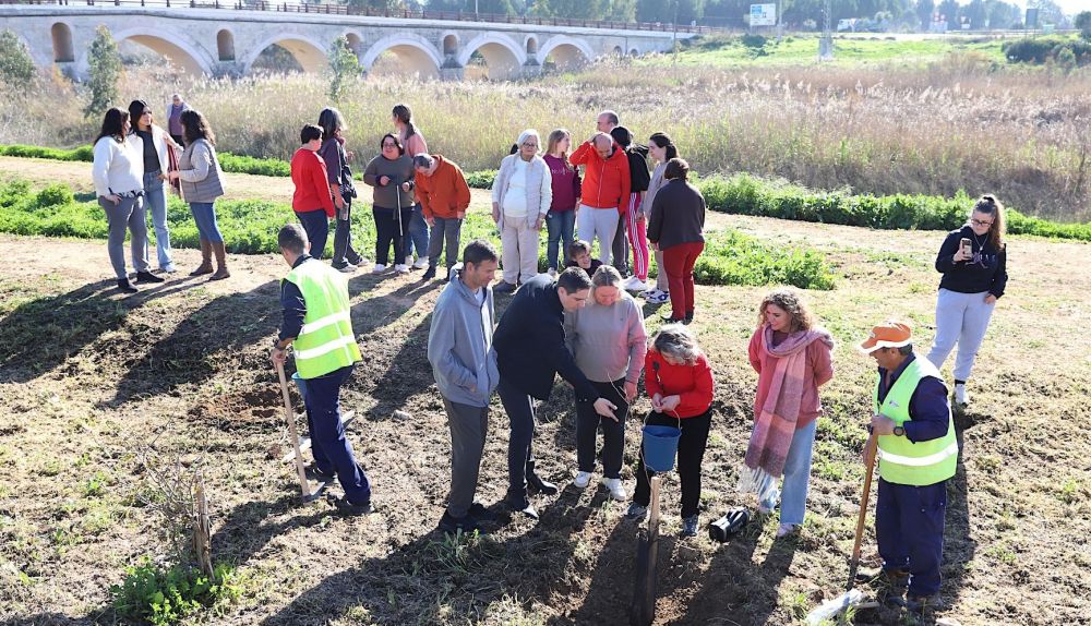 Así ha sido la plantación de árboles en Jerez.