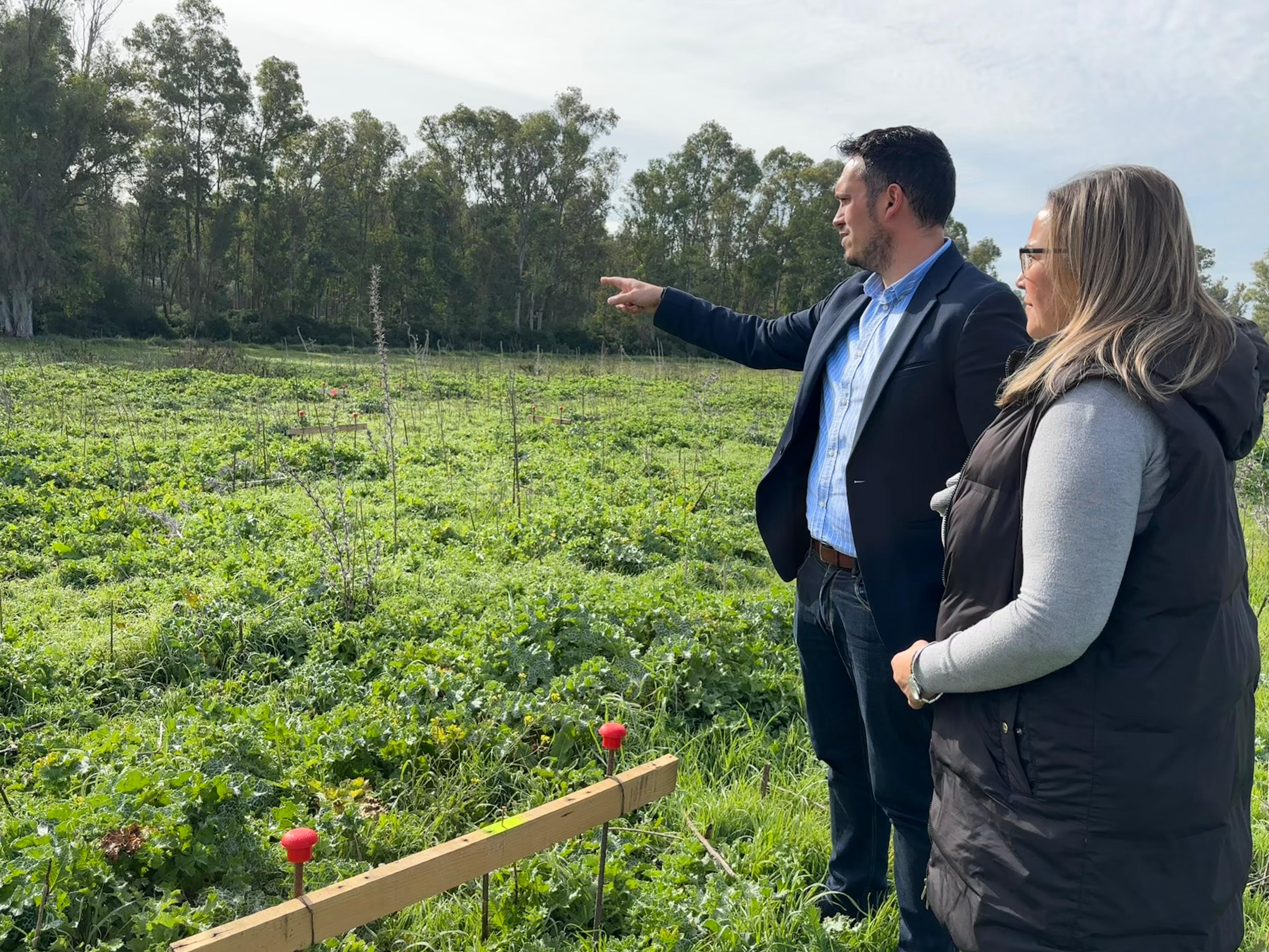 Alba y Becerra, en los terrenos de Las Quinientas, donde irá el futuro crematorio de Estella.