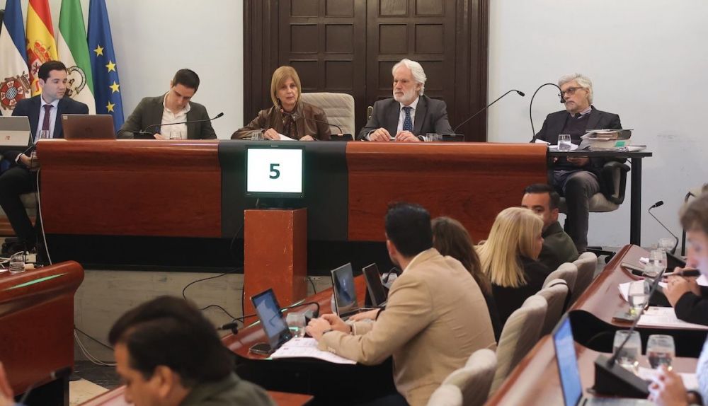 pleno jerez febrero MANU GARCÍA 9