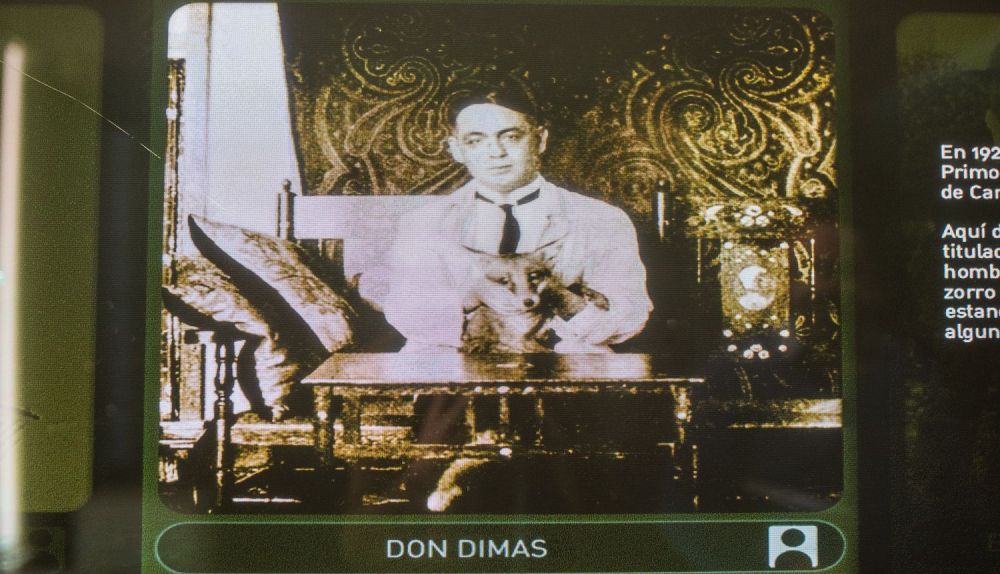 El zorro Don Dimas, procedente de los pinares de Isla Cristina, pudo haber sido una mascota de la familia si se hubiese dejado domesticar.