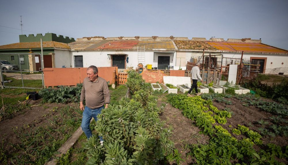 En el huerto cultivan desde pimientos hasta fresas.