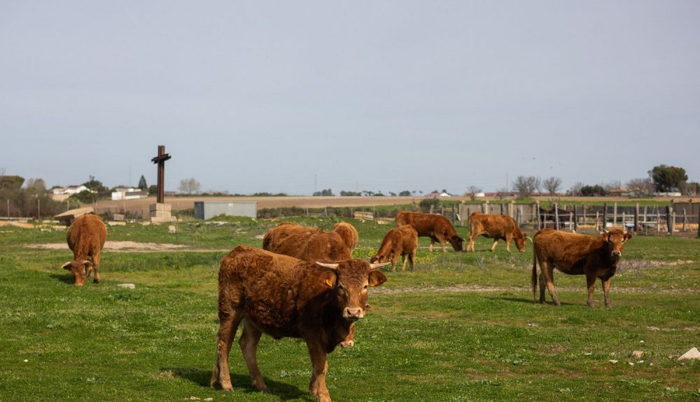 Terreno donde se construyo el cementerio.