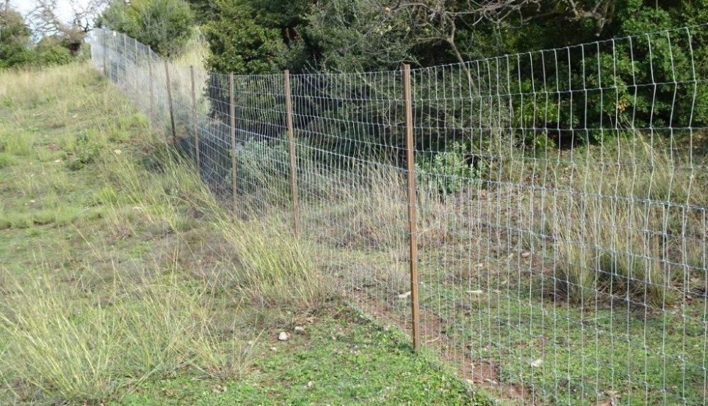 Vallado cinegético en la finca de Las Palomas.