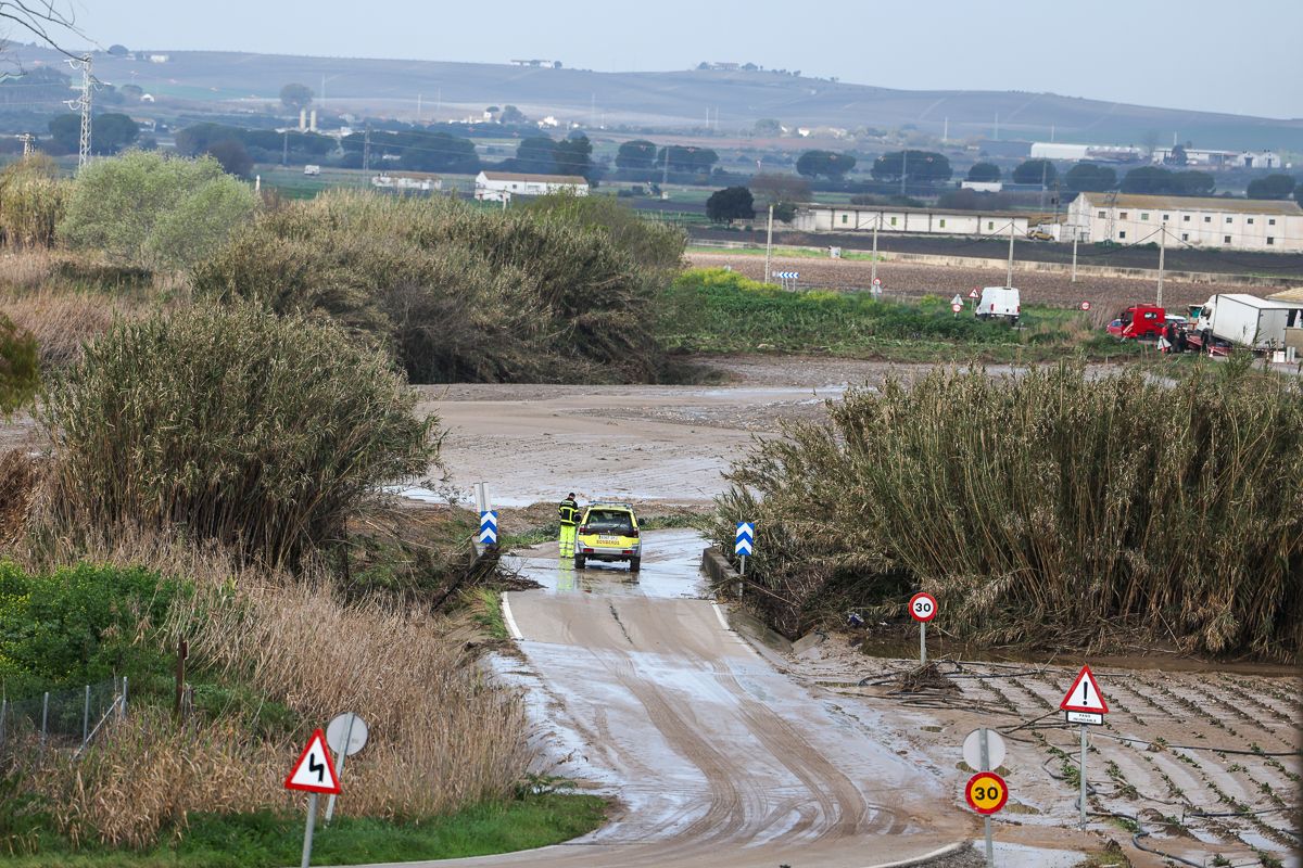 Las lluvias en el campo de la provincia de Cádiz.