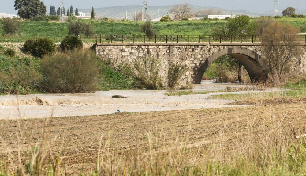 El Guadalete baja con fuerza por el Jerez rural.
