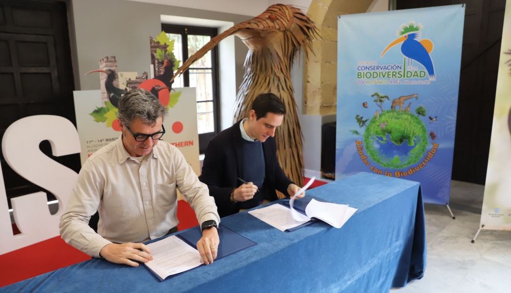 Firma IBIS 2