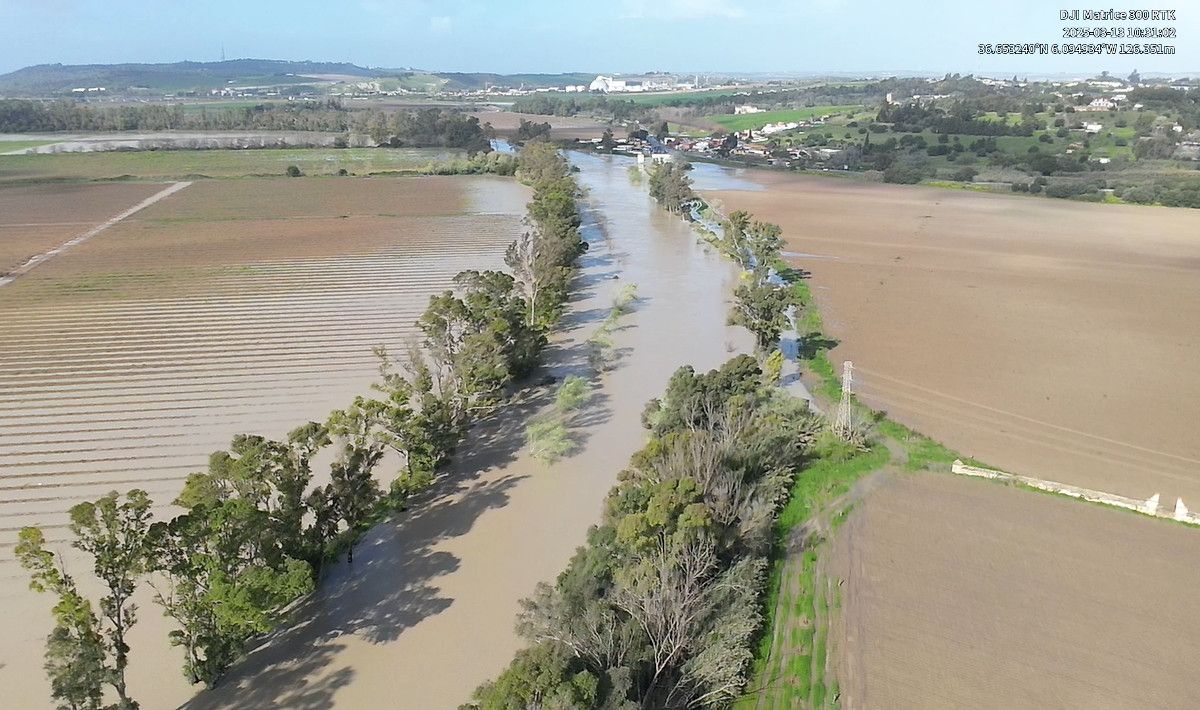 Así ha afectado la crecida del río Guadalete a la zona rural de Jerez.