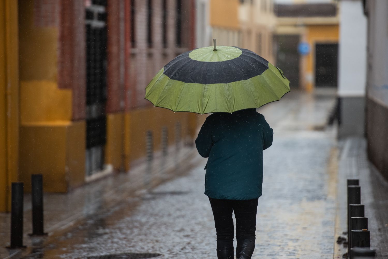 Un día de lluvia.