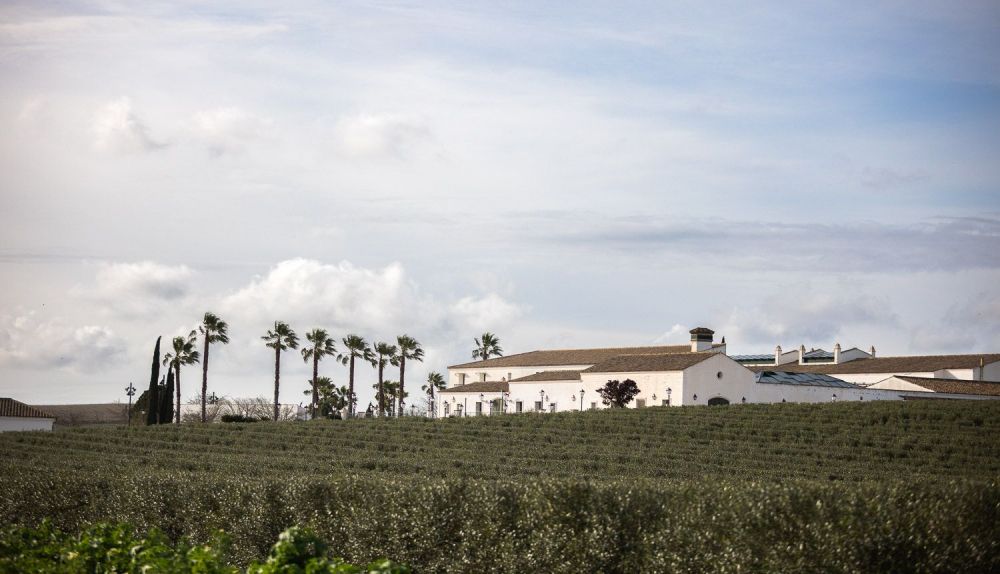 CORTIJO DE DUCHA 4