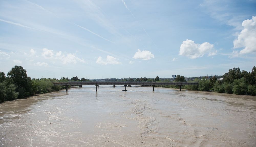 RIO GUADALQUIVIR SEVILLA DESBORDAMIENTO CRECIDA 19 MARZO 2025 38