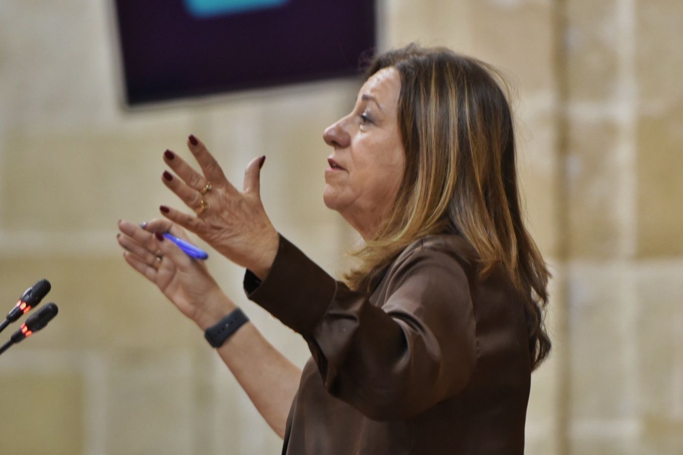 Carmen Castillo, consejera de Educación.