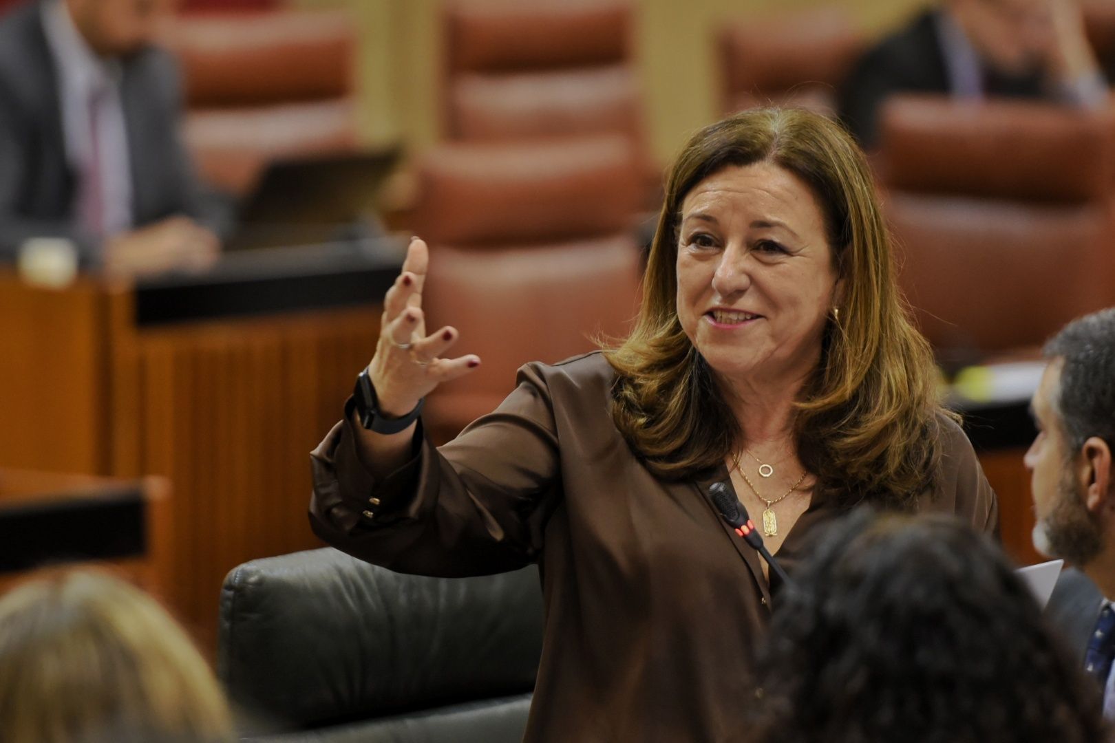 La consejera de Educación de la Junta de Andalucía, María del Carmen Castillo, este jueves en el Parlamento.