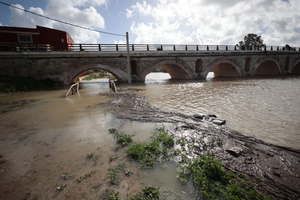 El puente de La Cartuja.