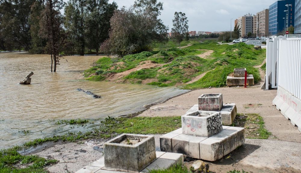 LAGUNA SAPO SEVILLA MARZO 2025 21