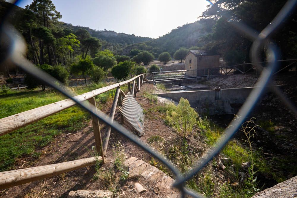Una 'lengua' de agua en el manantial del Tempul, en verano de 2024