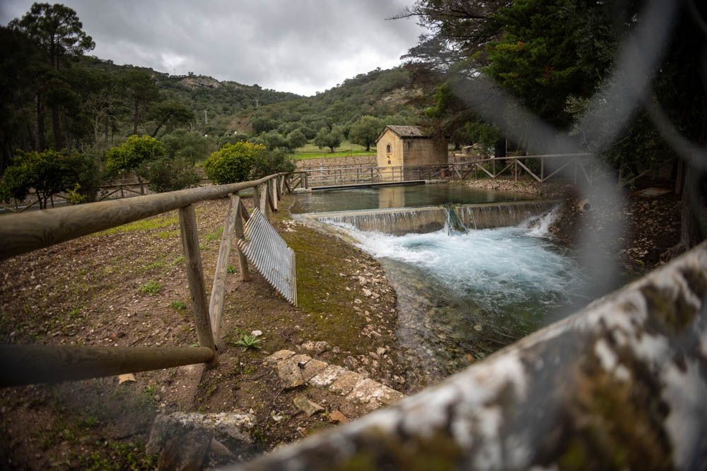 El agua brota a borbotones del manantial del Tempul, en marzo de 2025