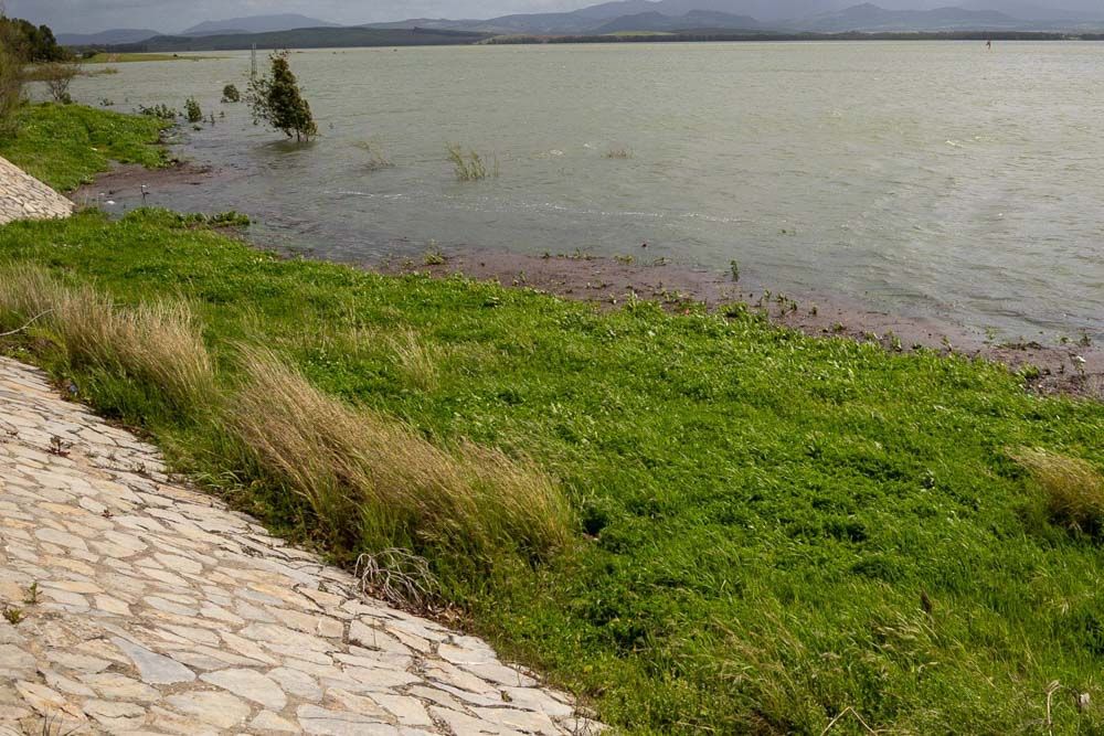 El embalse de Bornos, casi lleno en marzo de 2025