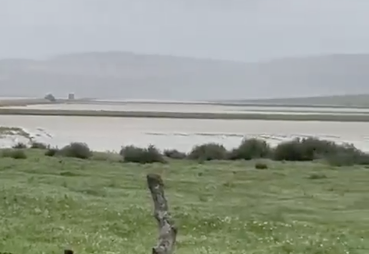 Una imagen de hace unos días de la laguna de La Janda.