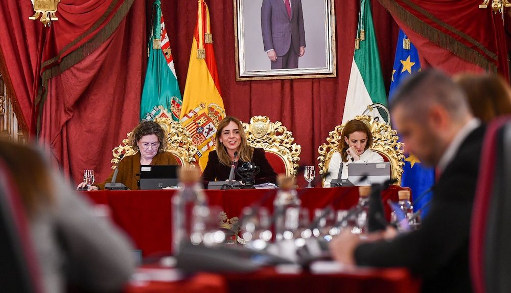 La presidenta de Diputación, Almudena Martínez, en pleno